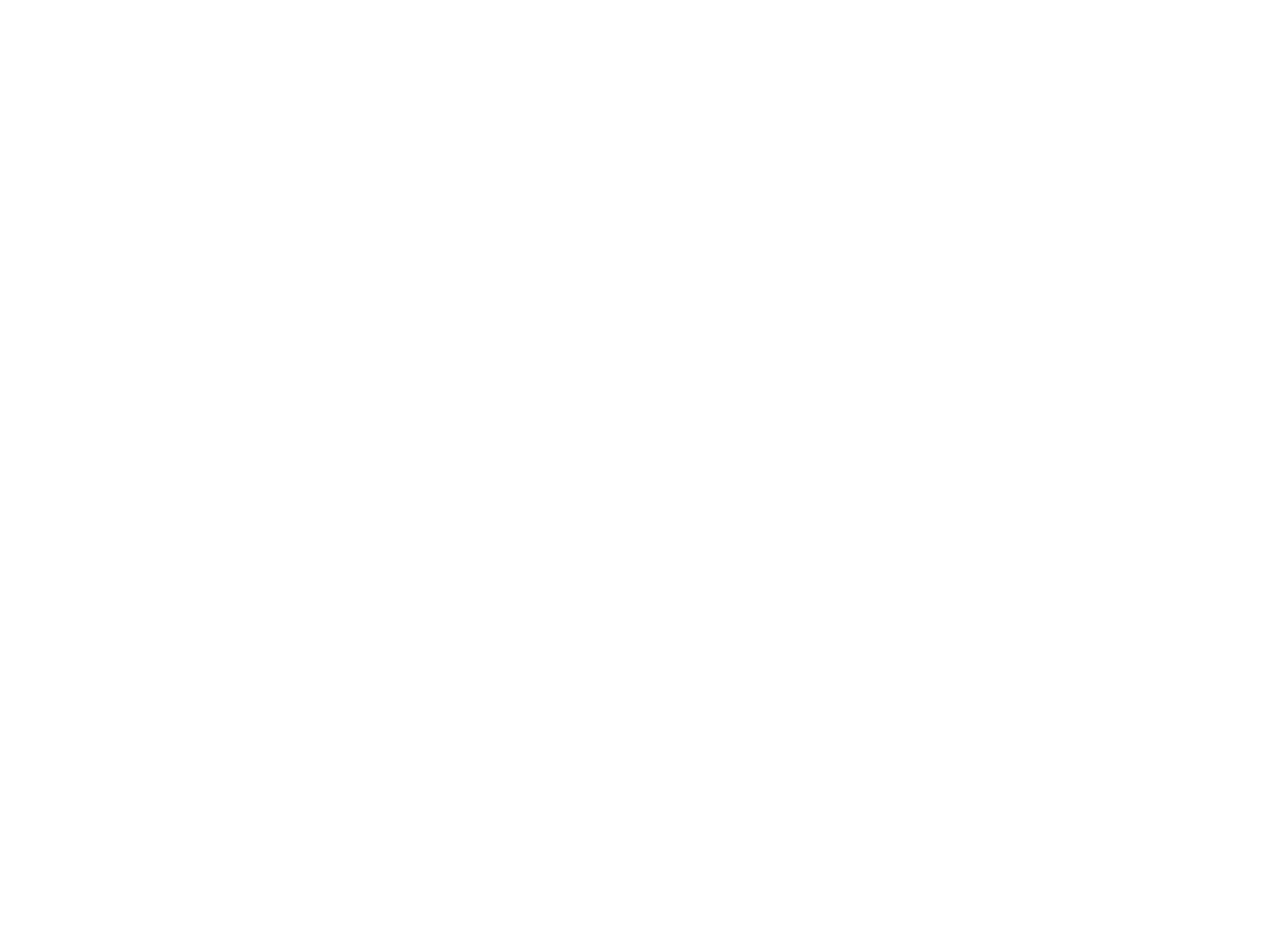 Medved Clubs Logo